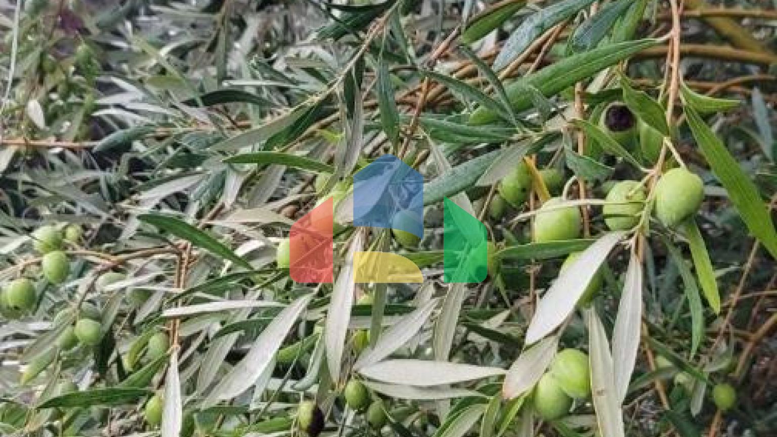 Трёхэтажная вилла на первой линии, Хладна Увала