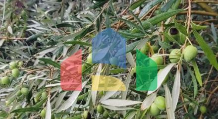 Трёхэтажная вилла на первой линии, Хладна Увала