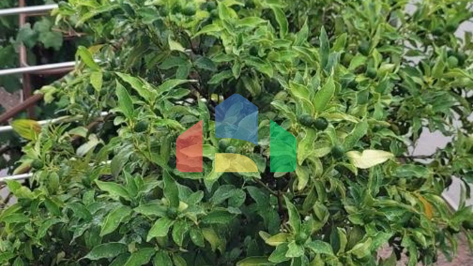 Трёхэтажная вилла на первой линии, Хладна Увала