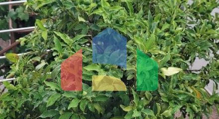 Трёхэтажная вилла на первой линии, Хладна Увала