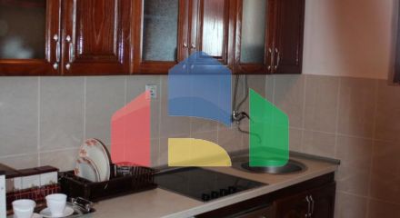 House with apartments, sauna and gym for rent in Zabljak