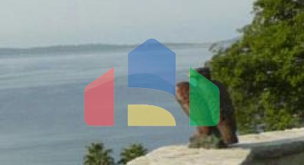 Участок в Зеленике