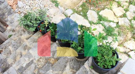 Дом с двумя спальными комнатами и видом на море в Зеленике Дом с двумя спальными комнатами и видом на море в Зеленике