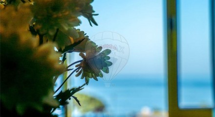 Residential - Single Family Home - T3 - Ericeira, Mafra - PT