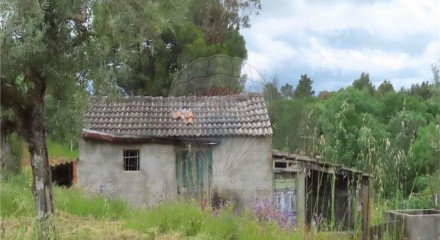 Residential - Farm - Orca, Fundao - PT