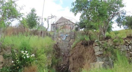 Residential - Farm - Orca, Fundao - PT