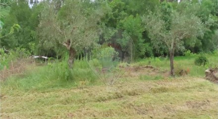 Residential - Farm - Orca, Fundao - PT
