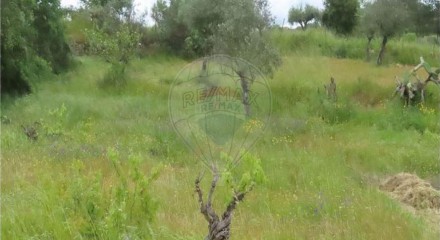 Residential - Farm - Orca, Fundao - PT