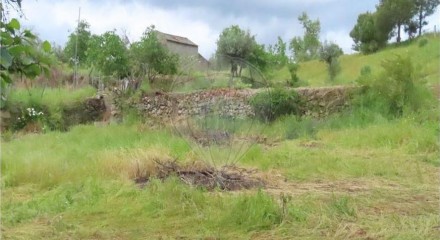 Residential - Farm - Orca, Fundao - PT