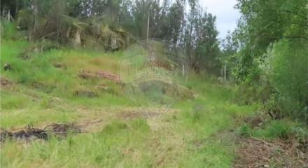 Residential - Farm - Orca, Fundao - PT