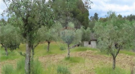 Residential - Farm - Orca, Fundao - PT