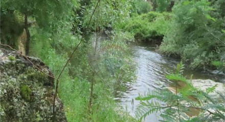 Residential - Farm - Orca, Fundao - PT