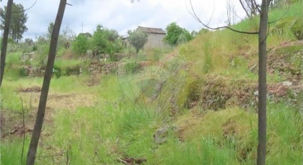 Residential - Farm - Orca, Fundao - PT