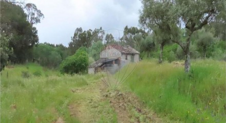 Residential - Farm - Orca, Fundao - PT