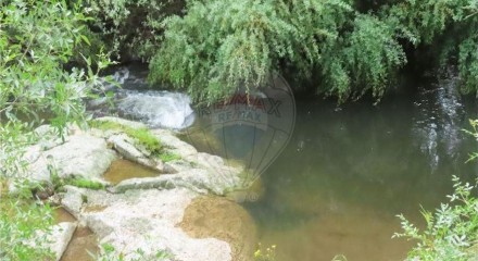Residential - Farm - Orca, Fundao - PT