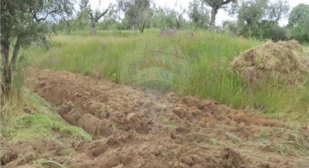 Residential - Farm - Orca, Fundao - PT