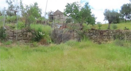 Residential - Farm - Orca, Fundao - PT