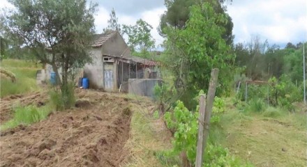Residential - Farm - Orca, Fundao - PT