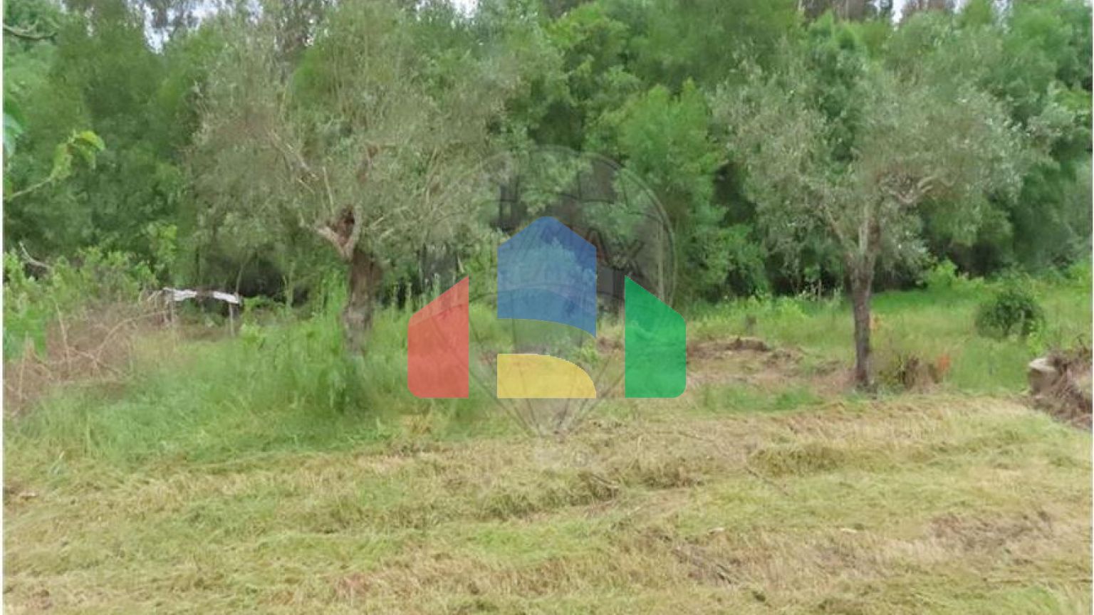 Residential - Farm - Orca, Fundao - PT