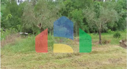 Residential - Farm - Orca, Fundao - PT