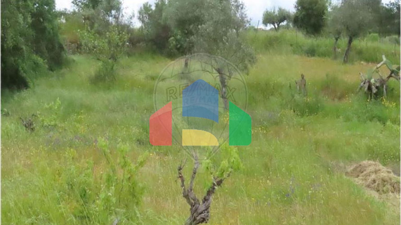 Residential - Farm - Orca, Fundao - PT