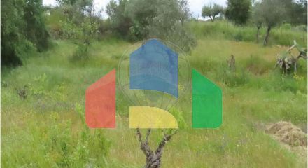 Residential - Farm - Orca, Fundao - PT