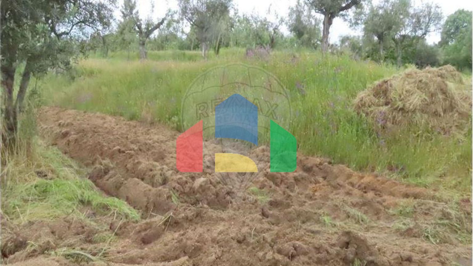 Residential - Farm - Orca, Fundao - PT