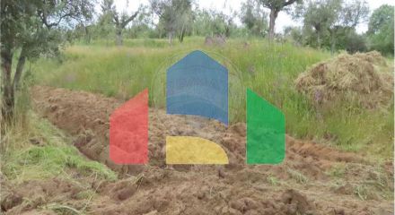 Residential - Farm - Orca, Fundao - PT