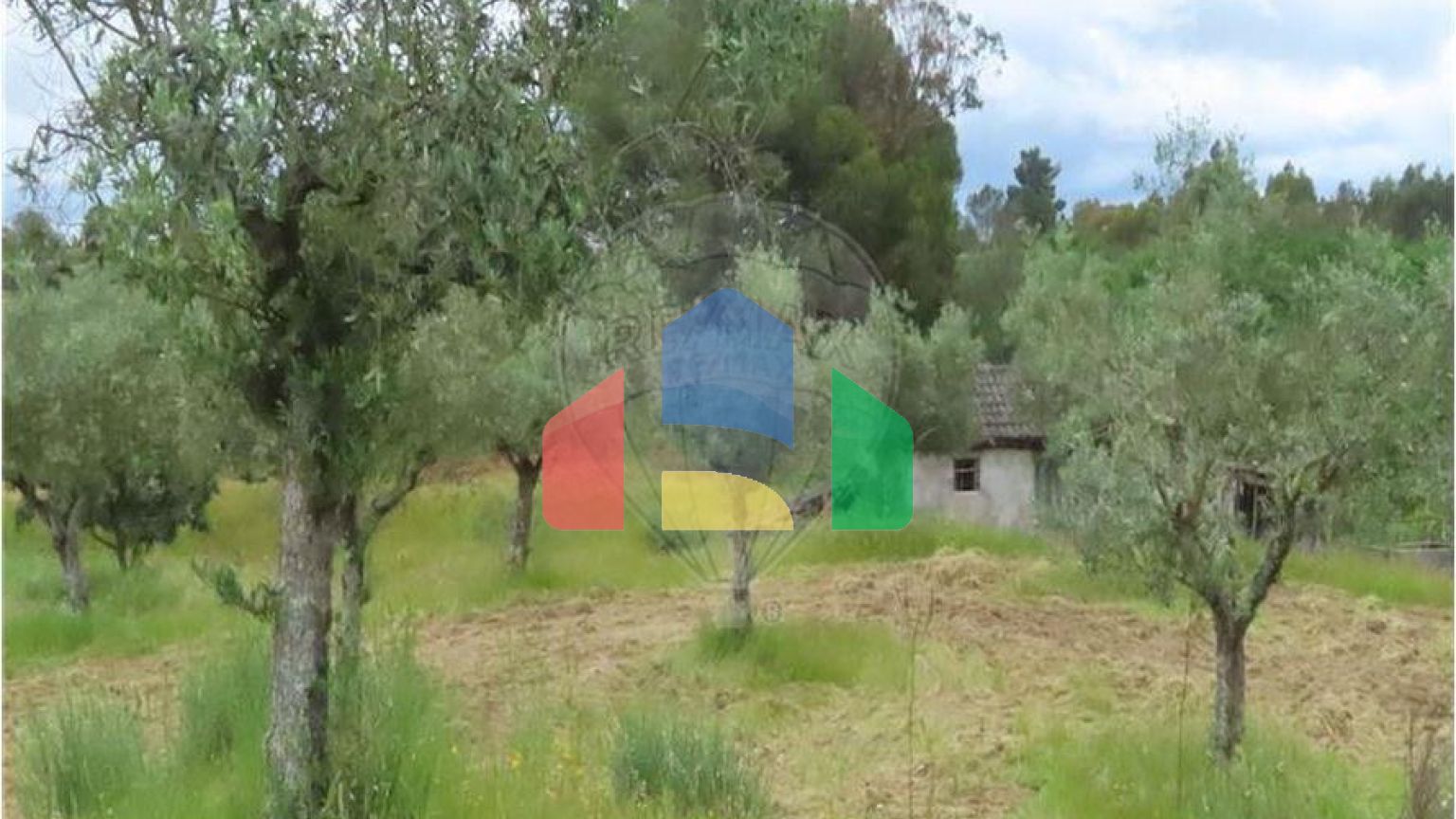 Residential - Farm - Orca, Fundao - PT