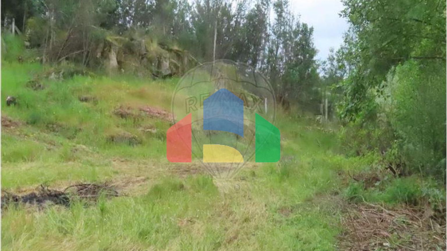 Residential - Farm - Orca, Fundao - PT