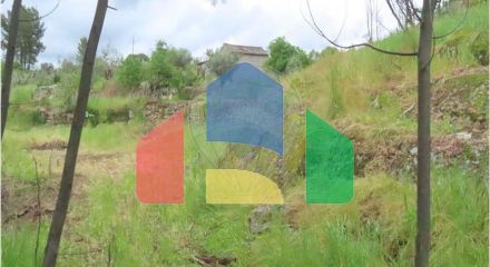 Residential - Farm - Orca, Fundao - PT