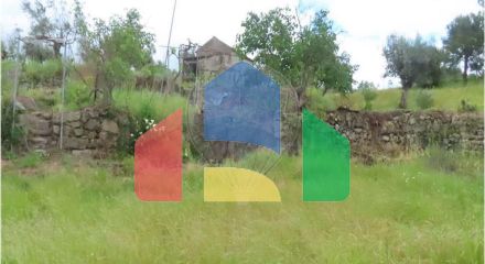 Residential - Farm - Orca, Fundao - PT