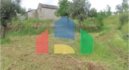 Residential - Farm - Orca, Fundao - PT