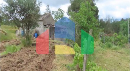 Residential - Farm - Orca, Fundao - PT