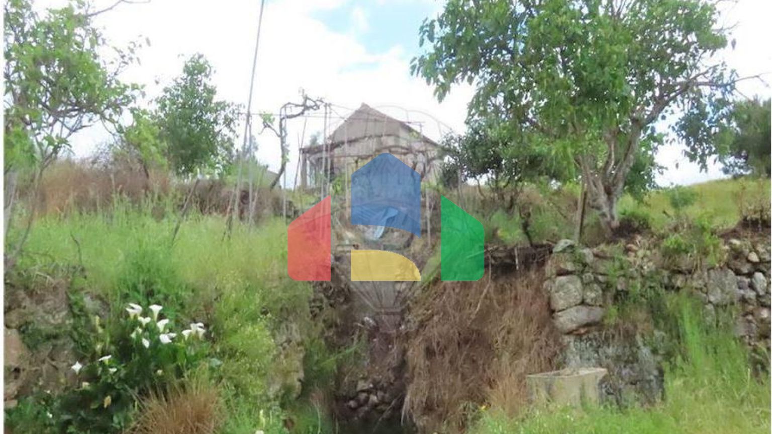 Residential - Farm - Orca, Fundao - PT