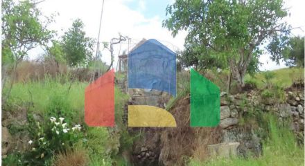 Residential - Farm - Orca, Fundao - PT