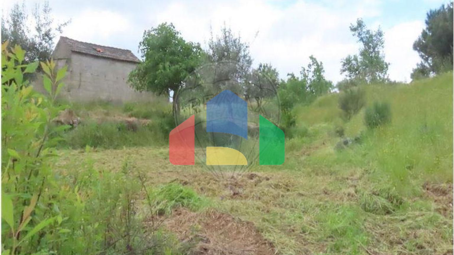 Residential - Farm - Orca, Fundao - PT