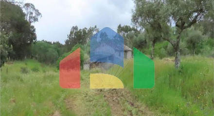 Residential - Farm - Orca, Fundao - PT