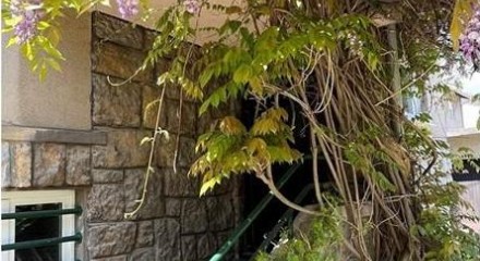 Residential - Cottage - Celje, Savinjska Region - SI