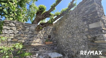 Residential - Cottage - Sezana, South Primorska region - SI