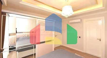 2 + 1 в преміальному комплексі