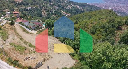 Розкішні вілли в центрі Аланії