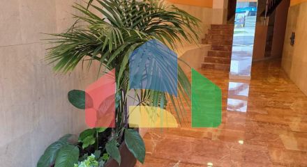 Penthouse in Aviles ID CAS029
