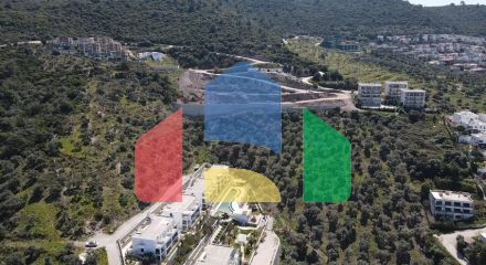 Прекрасная Жизнь в Полуострове с Уникальной Природой