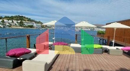 Villas and Penthouses with view of Bodrum Castle