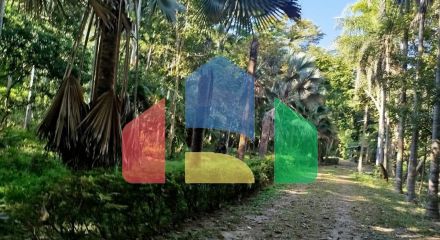 Residential - Land - Hang Dong, Chiang Mai - TH Residential - Land - Hang Dong, Chiang Mai - TH