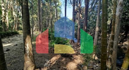 Residential - Land - Hang Dong, Chiang Mai - TH