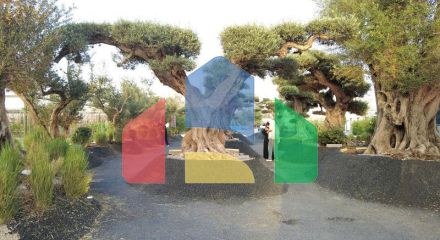 Квартира 2+1 в Дубай