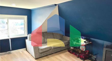 Residential - Single Family Home - Chicago, Illinois, United States - United States