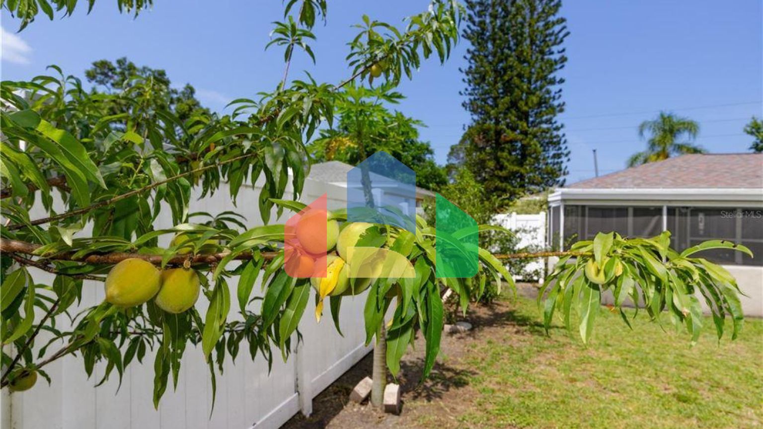 Residential - Single Family Home - Clearwater, Florida, United States - United States